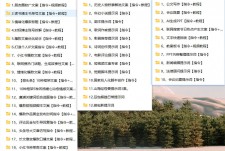 豆包Ai指令85+提示词合集（B）